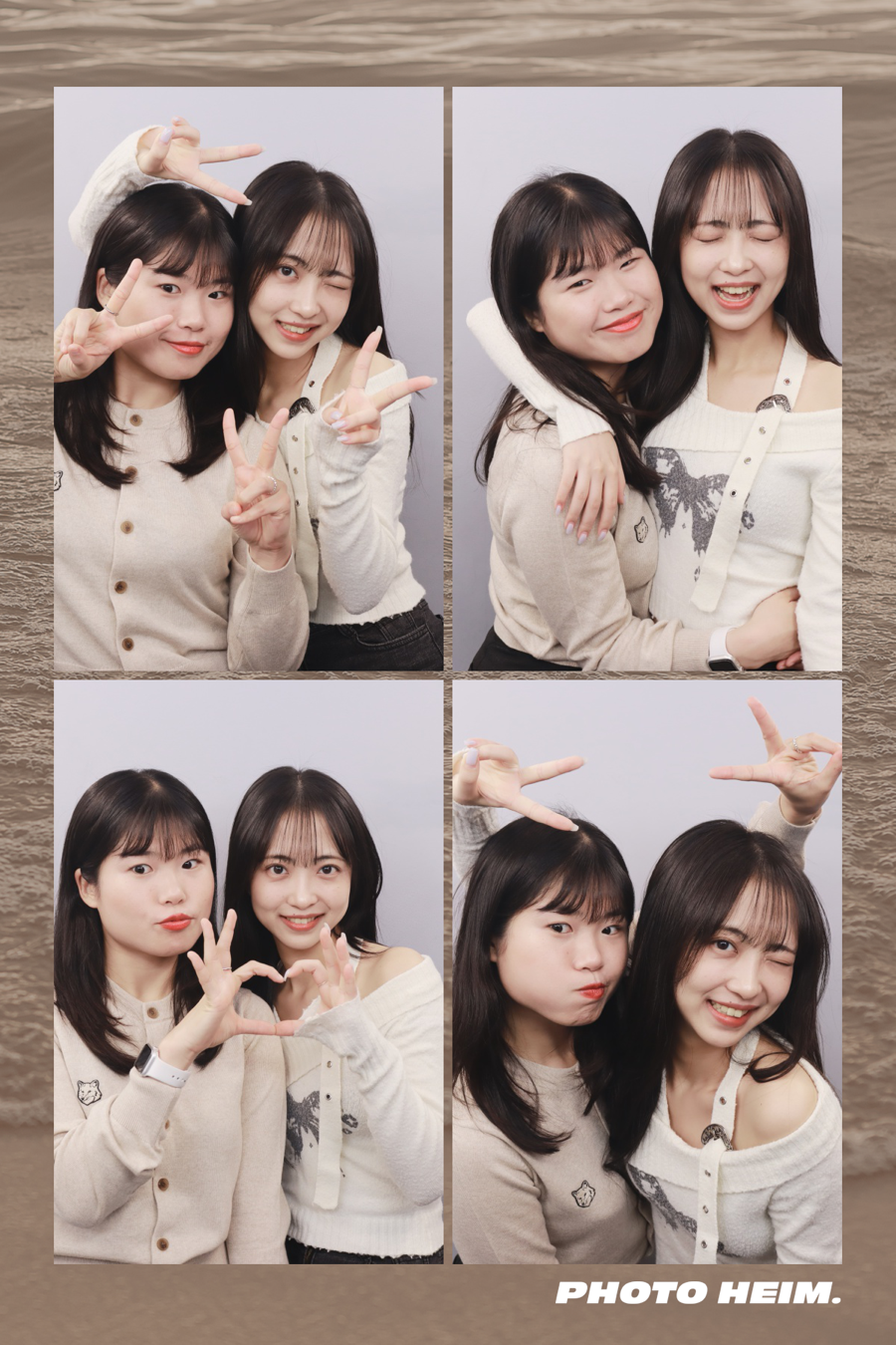 채로운 이미지