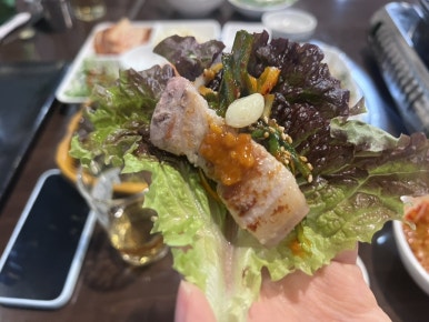 소박사 이미지