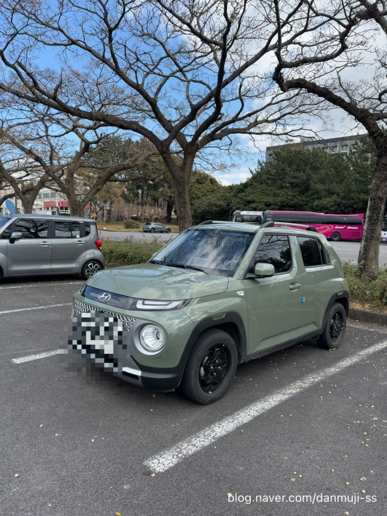 온카세이프 이미지