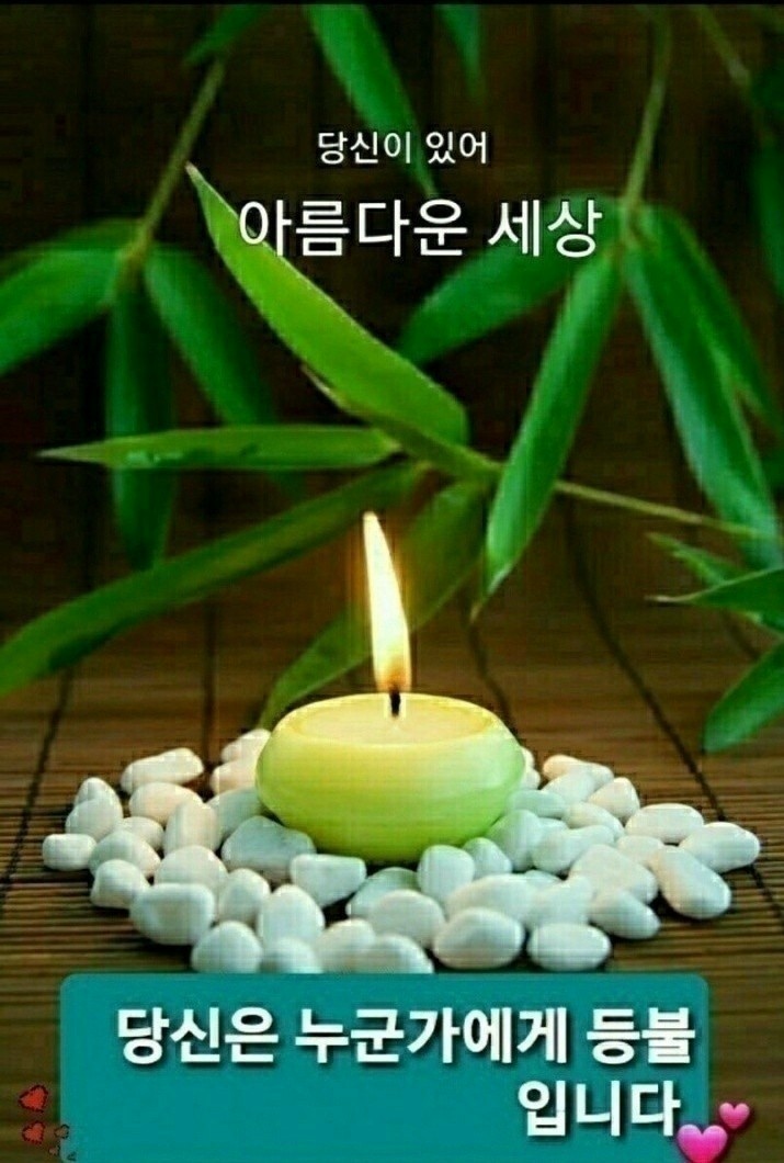 장수건강 이미지