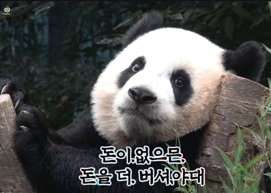 조선화로구이 이미지