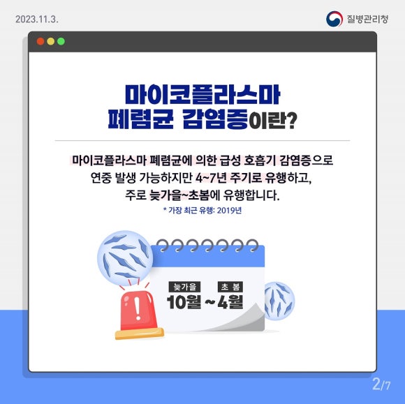 플라마 이미지