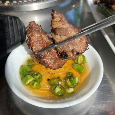 갈빗 이미지