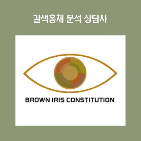 대운아로마 이미지