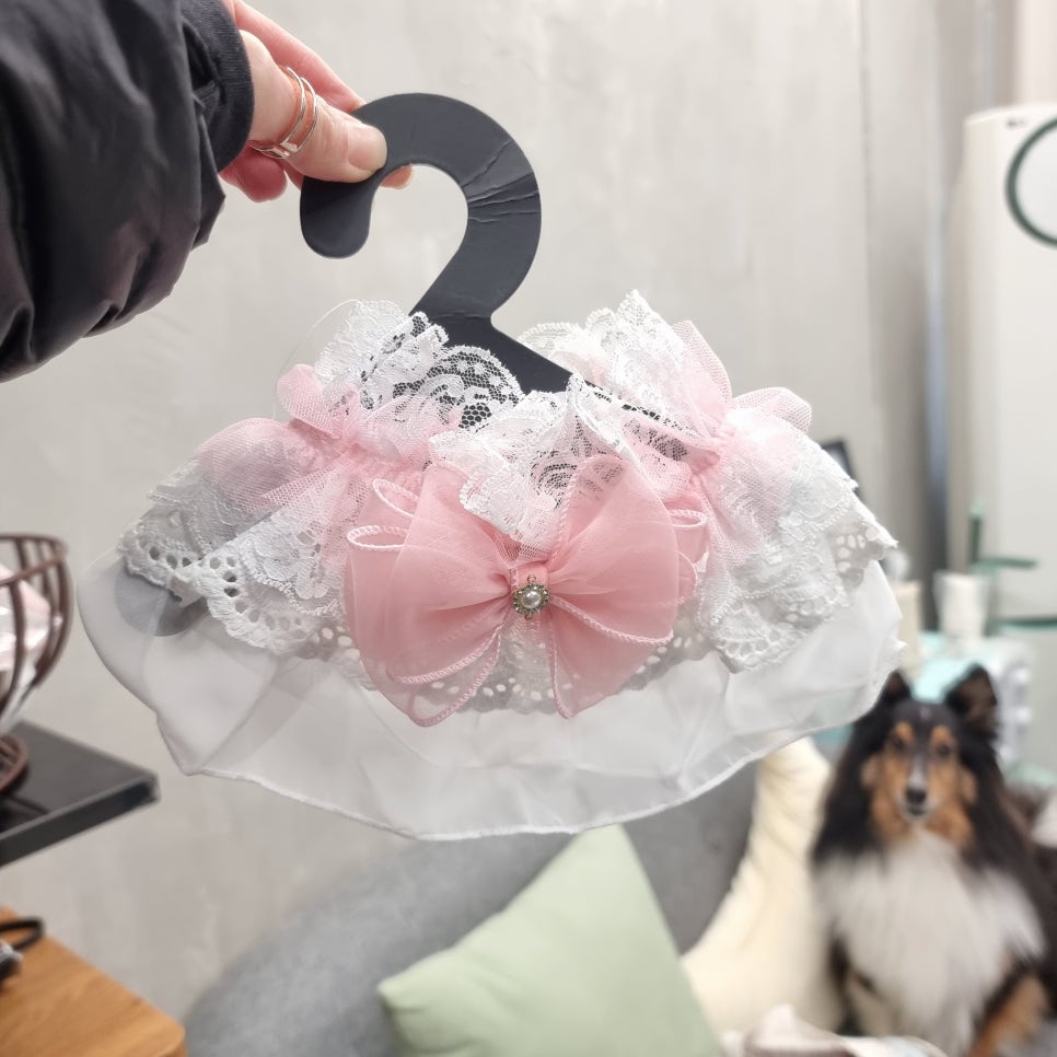 안산 보름달스튜디오 증멍사진 촬영 후기 — 사진 10
