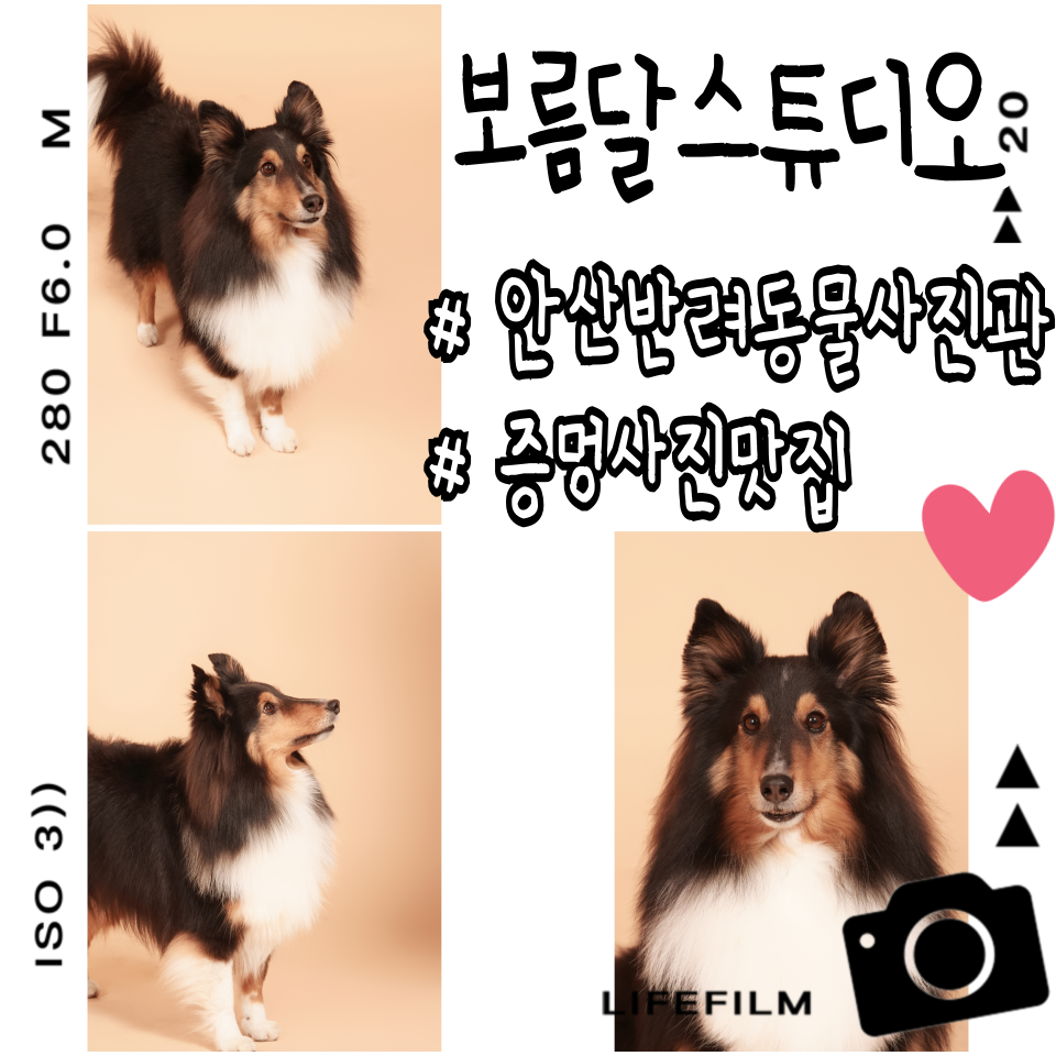 안산 보름달스튜디오 증멍사진 촬영 후기 — 사진 2