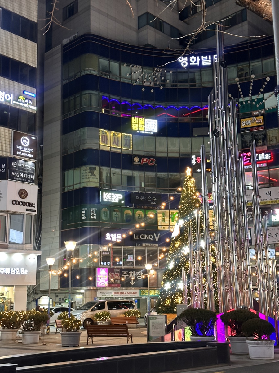 로아(Roaa) 이미지