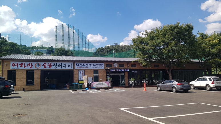 여자만장어 이미지