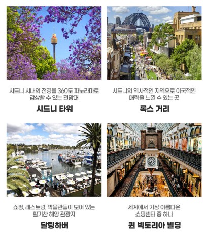주식회사 모두여행사 이미지