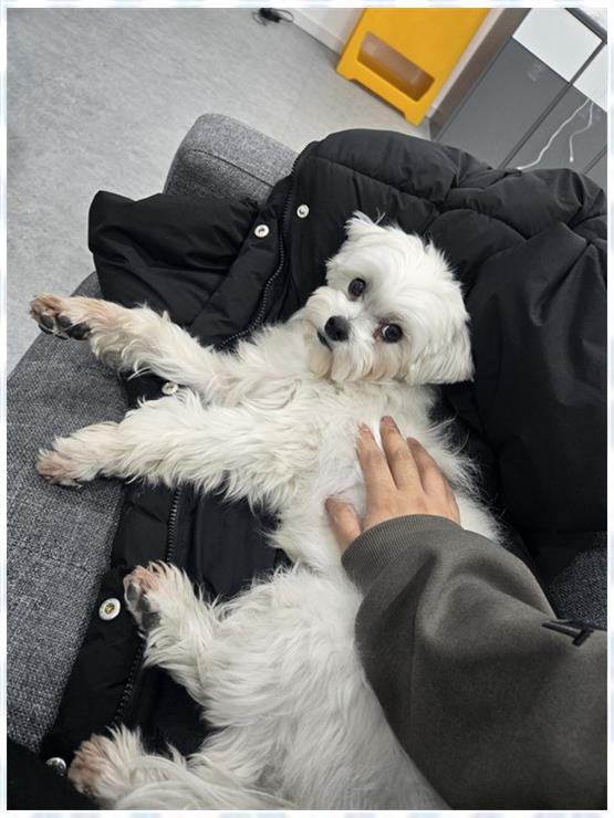 휴대폰의모든것 이미지