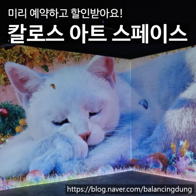칼로스아트스페이스 이미지