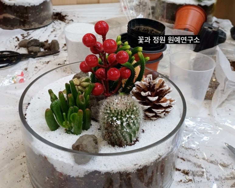 치유정원연구소 이미지