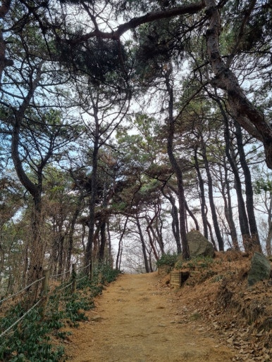 크로플로 화곡점 이미지