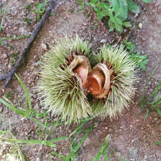 건항외과 이미지