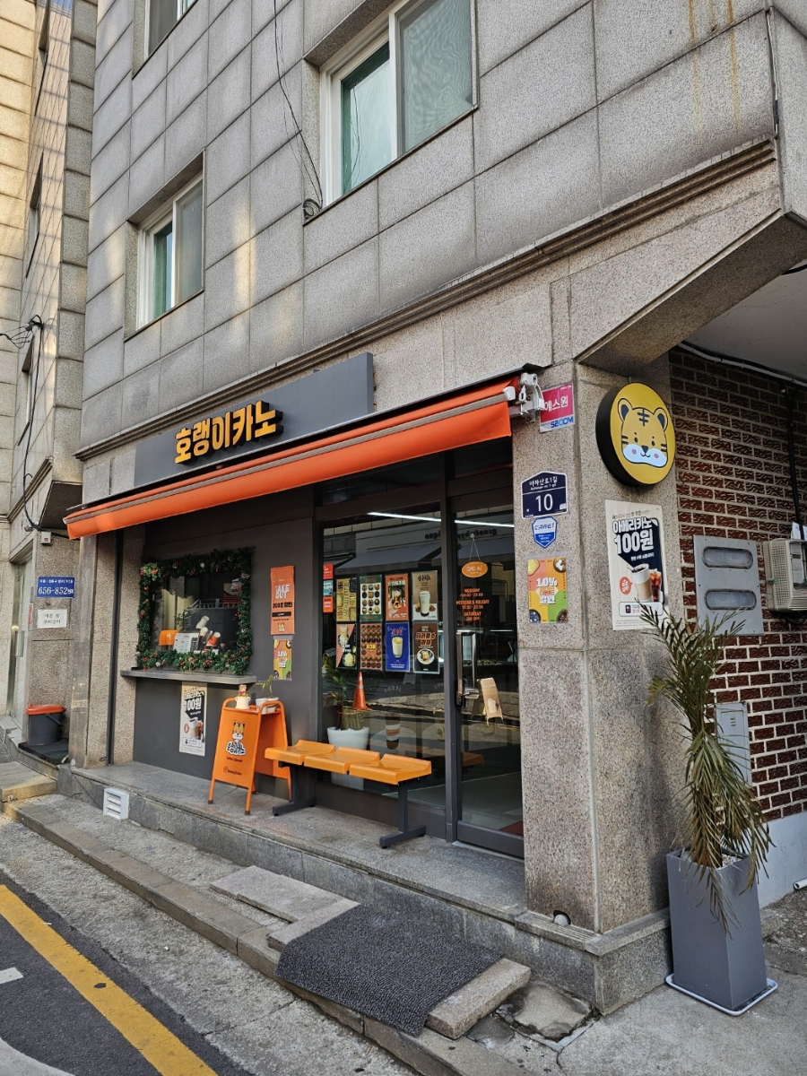 호랭이카노 이미지