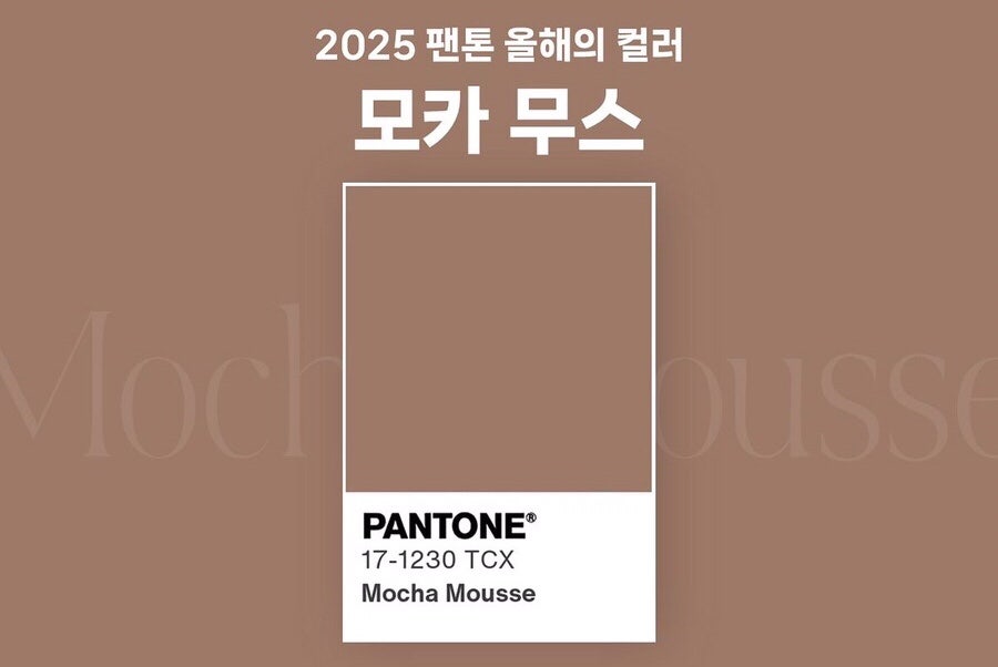 컬러무이 이미지
