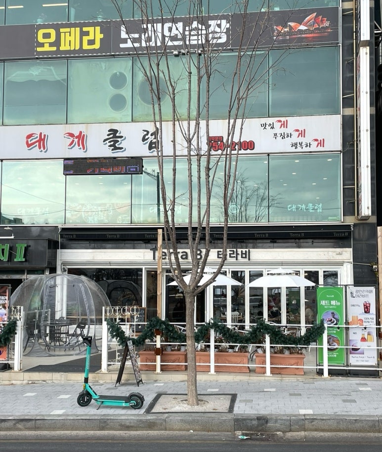 브런치앤디너테라비 이미지
