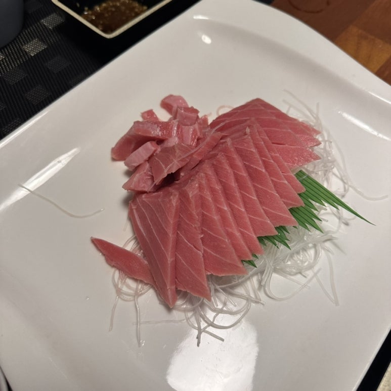 참치여행 이미지
