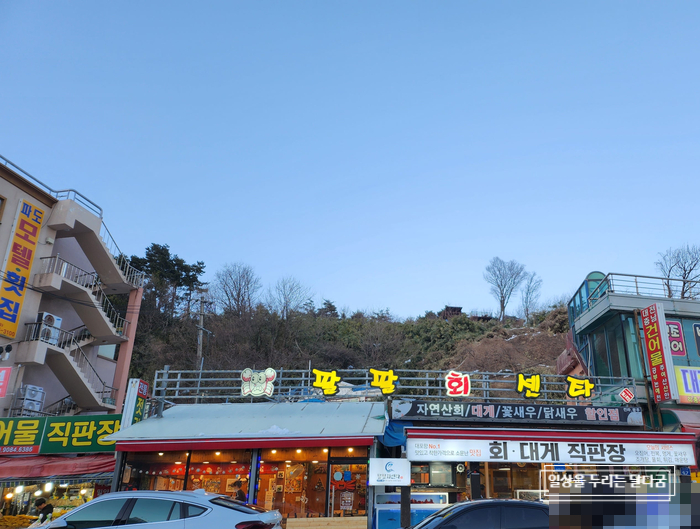 팔팔회 이미지