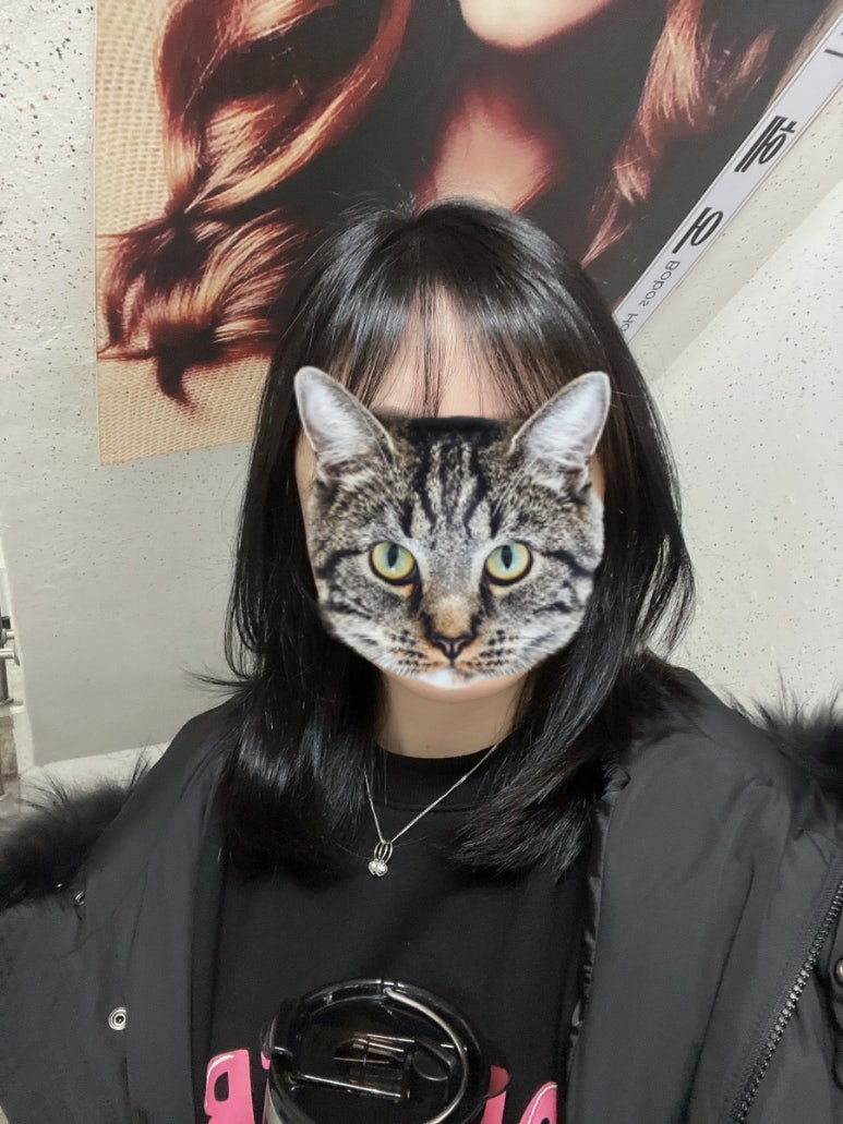 보보스헤어 이미지