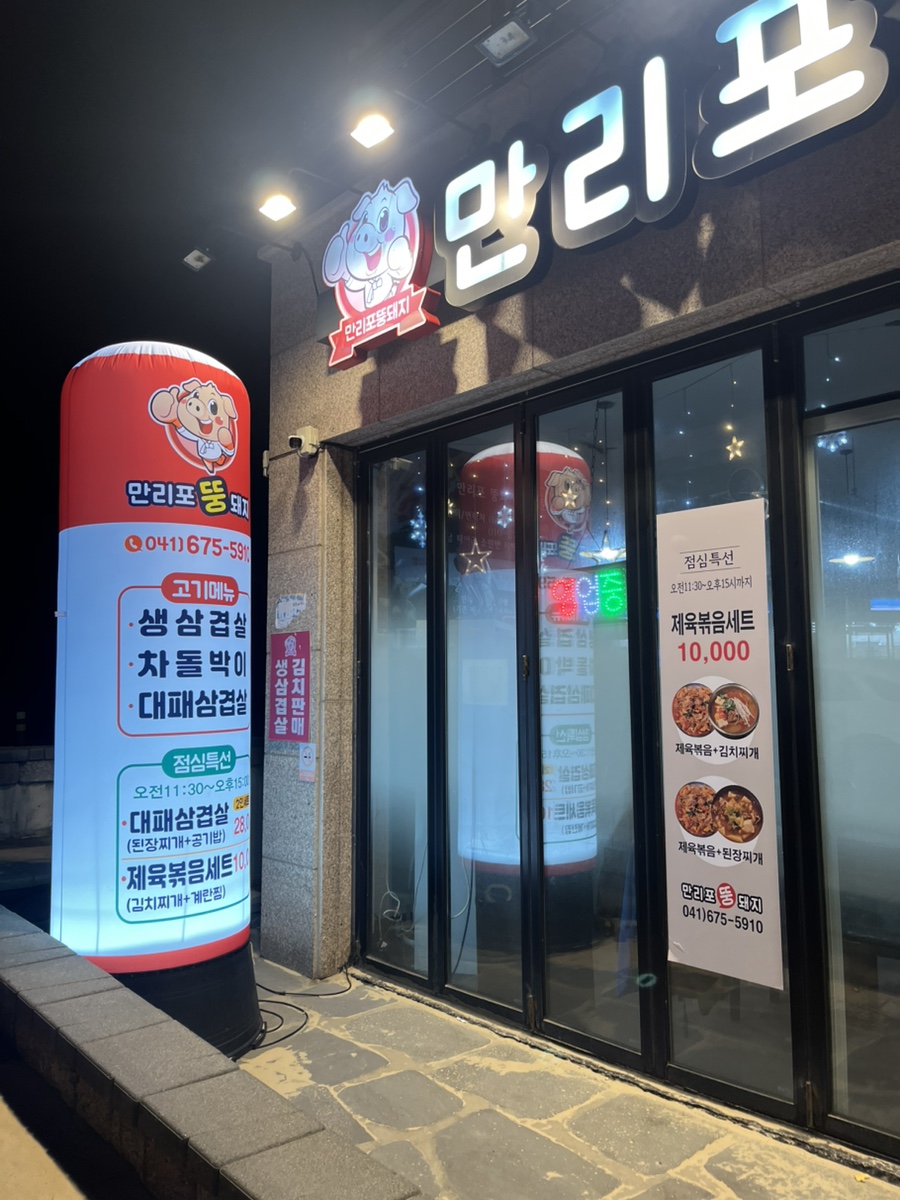 만리포뚱돼지 이미지