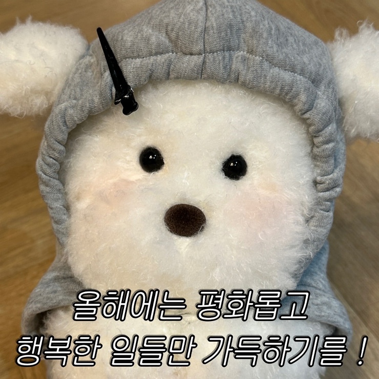뉴이어 이미지