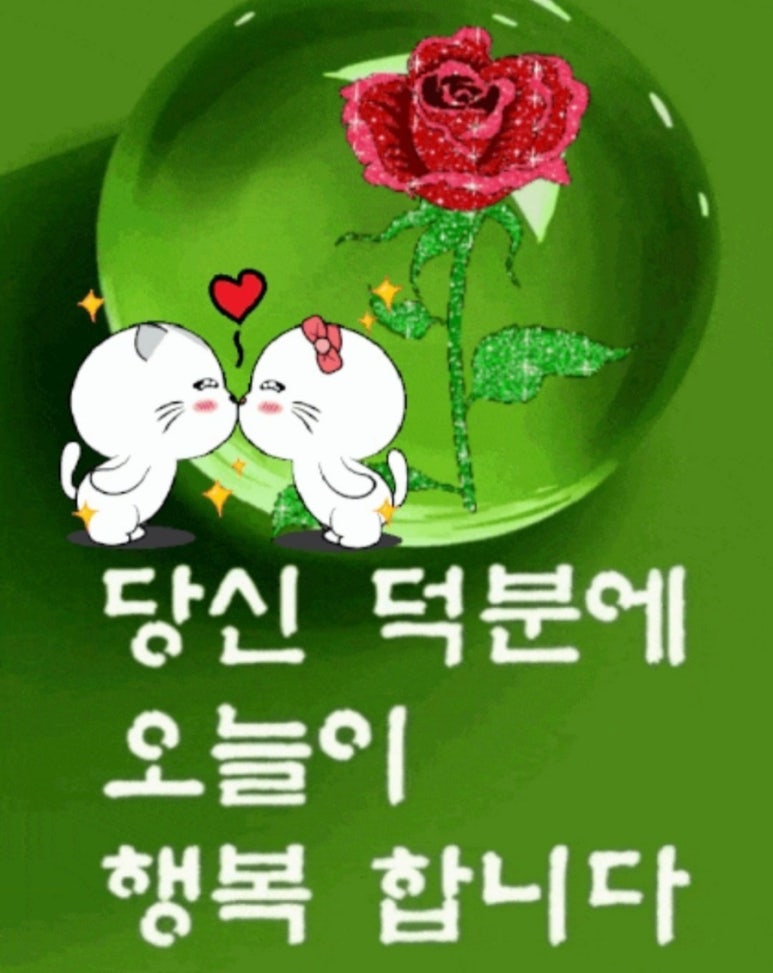 수지상사 이미지
