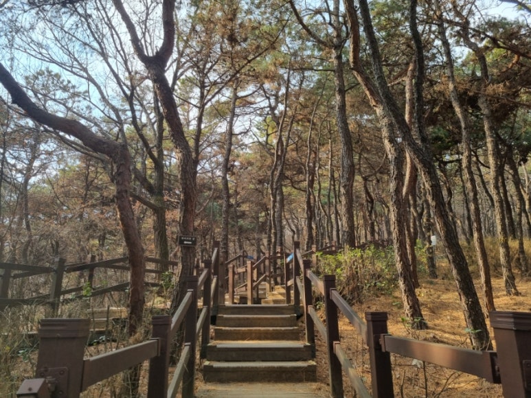 크로플로 화곡점 이미지