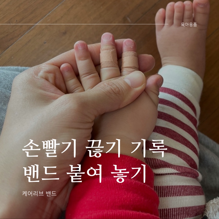 연주스럽게 이미지