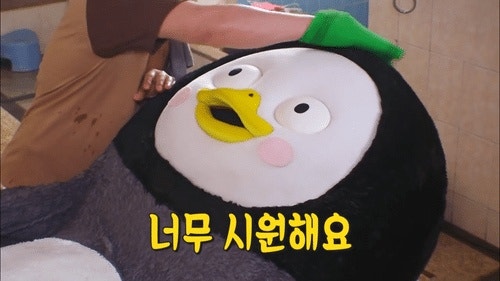 히까리 이미지