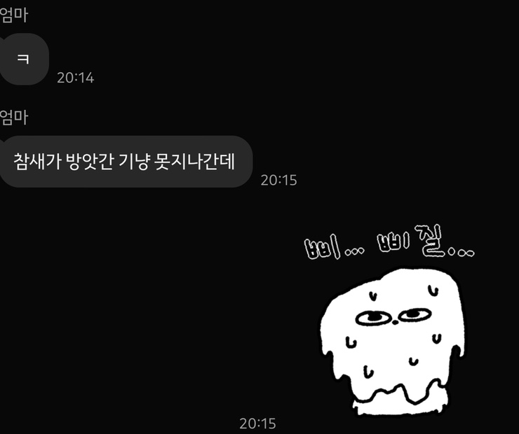 돼통령 이미지