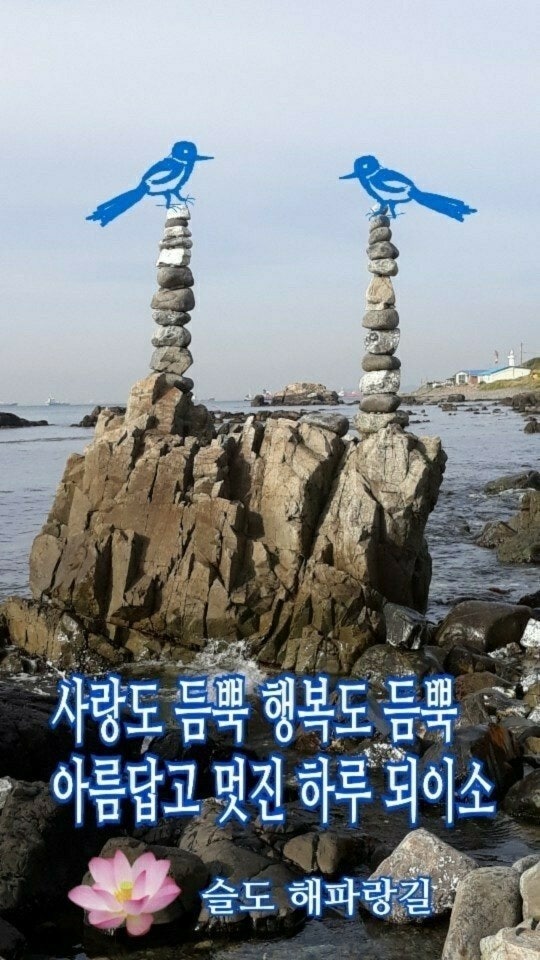 건강한하루 이미지