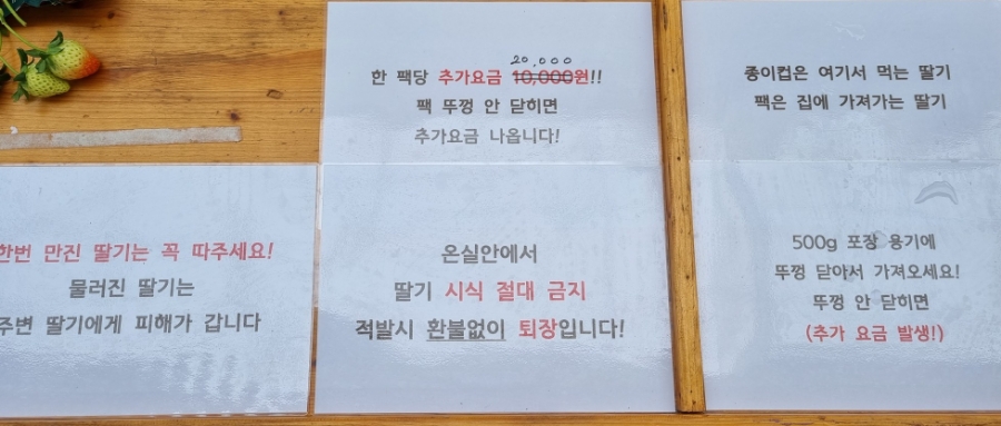 베리굿체험농장 이미지