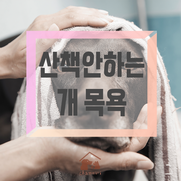 안녕;하상동 이미지