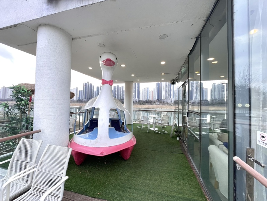 이프오션 이미지