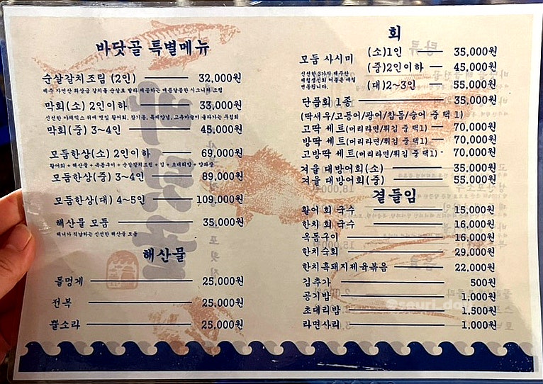 바닷골 이미지