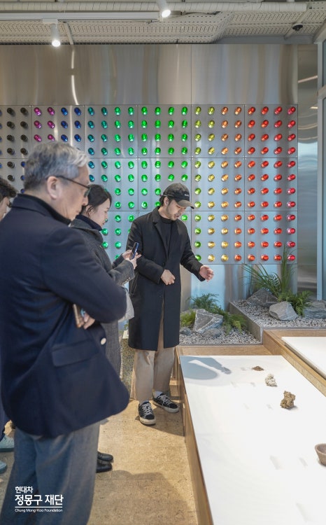 아엘시즌 이미지