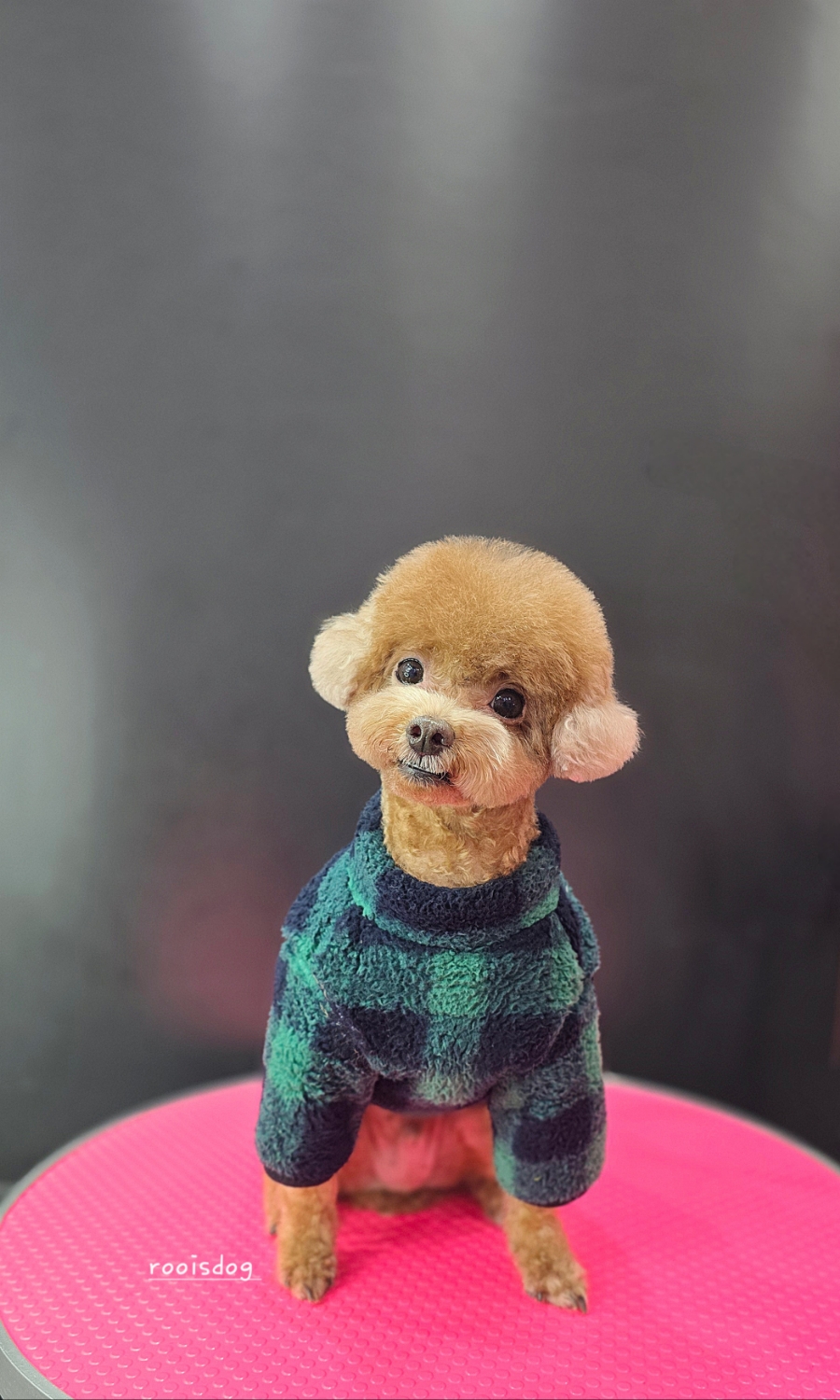 또치미용실 이미지