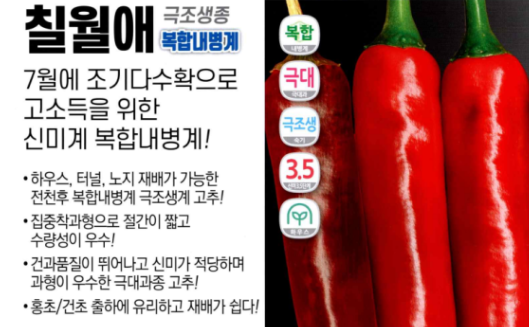 칠월애 이미지
