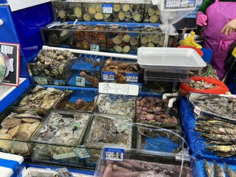 경인꽃게 사진 8