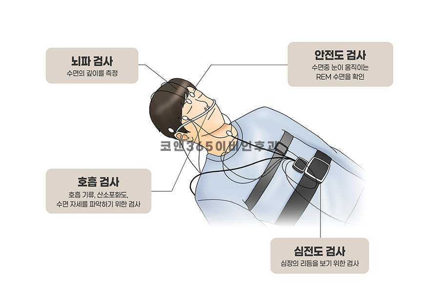 양주종합산소 이미지