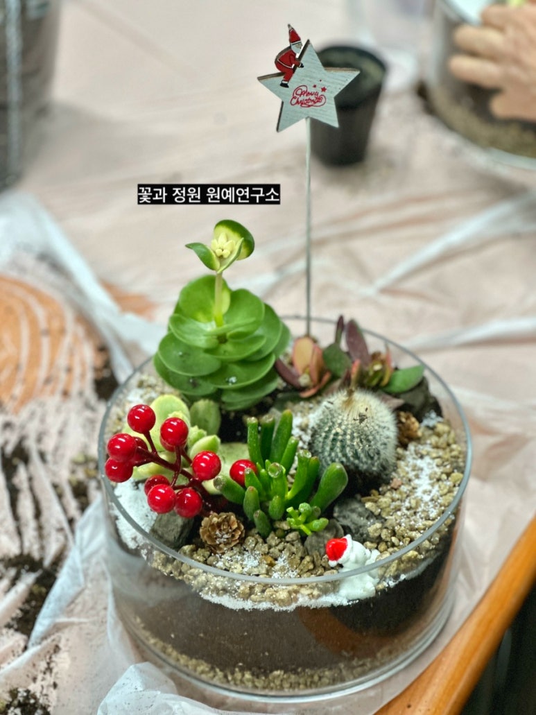 치유정원연구소 이미지
