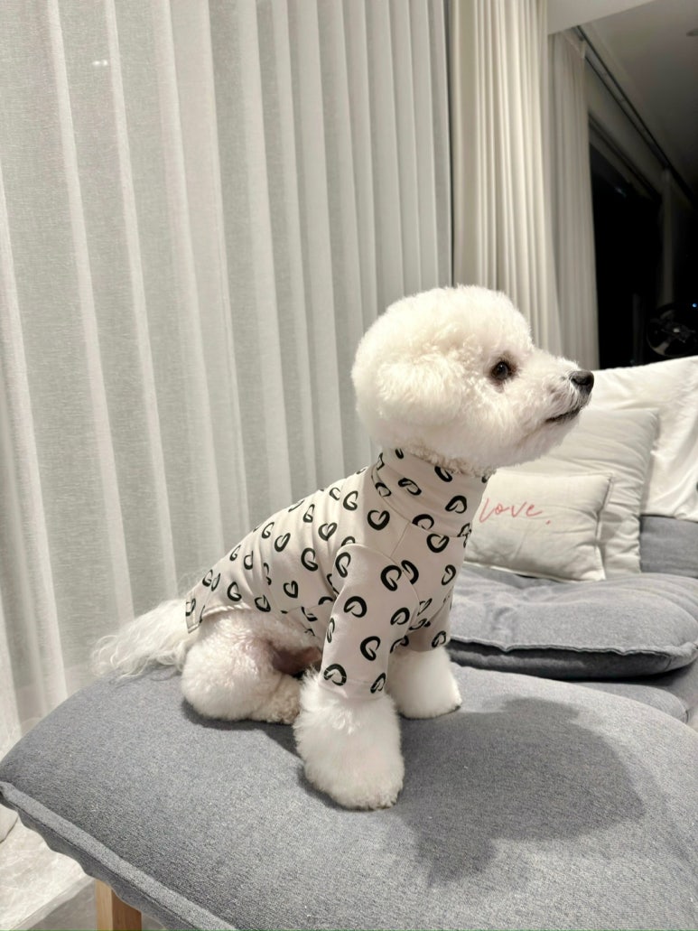스킨즈 이미지