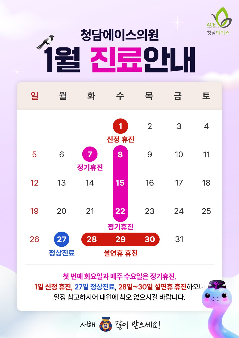 청담에이스의원 이미지