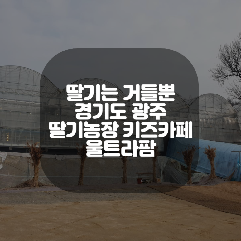 울트라팜 이미지