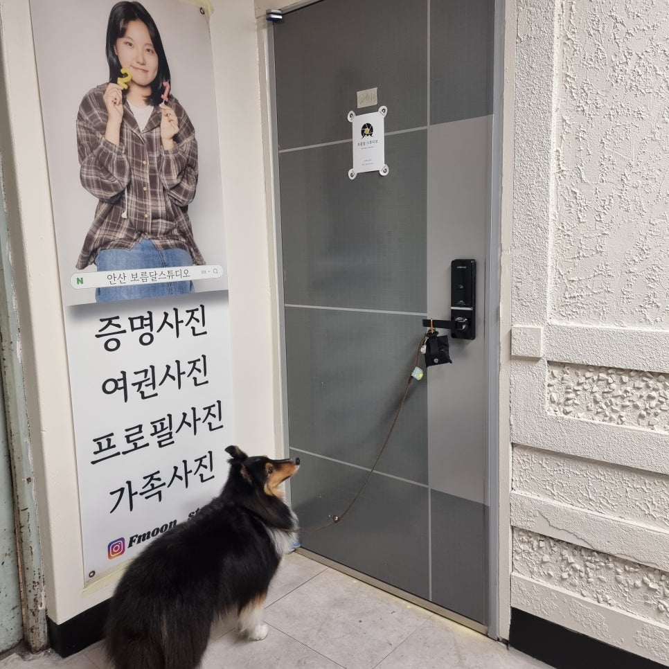 안산 보름달스튜디오 증멍사진 촬영 후기 — 사진 5