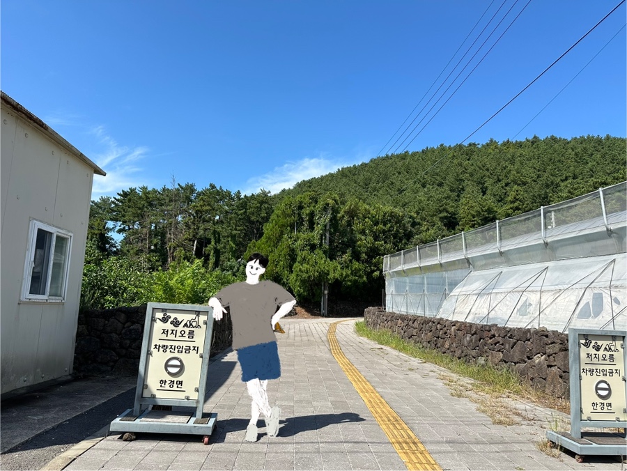 올레향 이미지
