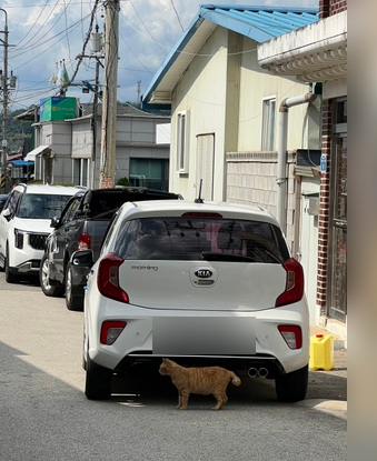 청산정육점식당 이미지