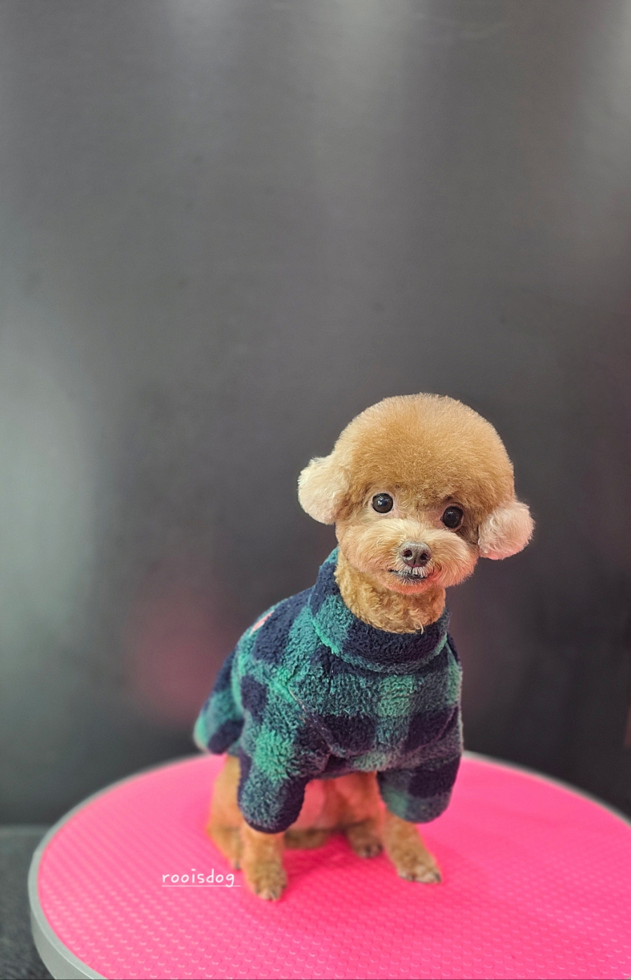또치미용실 이미지