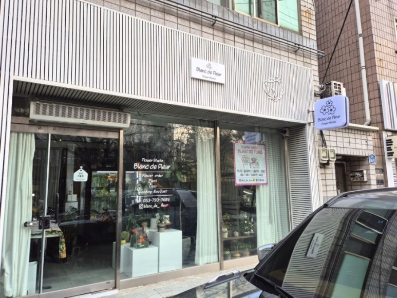 블랑드플레르 이미지